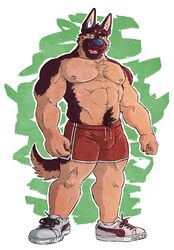 abs anthro athletic athletic_wear biceps big_muscles biped blue_nose body_hair bottomwear canid canine canis chest_tuft clock clothed clothing coach domestic_dog eyebrows footwear fur german_shepherd green_eyes gym_bottomwear gym_shorts hair happy_trail herding_dog kumu_(omfgitsmiller) male mammal muscular muscular_anthro muscular_male nipples omfgitsmiller pastoral_dog pecs pubes shoes shorts solo topless tuft watch