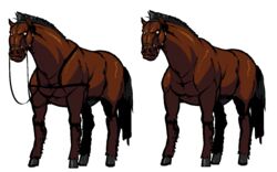 alpha_channel black_hair breeding_season brown_body brown_fur equid equine feral fur hair hooves horse male mammal multiple_images muscular muscular_feral muscular_male s-purple simple_background solo straps transparent_background