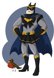 american_robin avian bat_symbol batman batman_(series) bird clothed clothing crossdressing crossover dc_comics duo feral feralized human human_focus magical_girl_outfit male mammal not_furry_focus oscine passerine pose robin_(bird) robin_(dc) sailor_moon_(series) simple_background standing thrush_(bird) true_thrush wallabri what