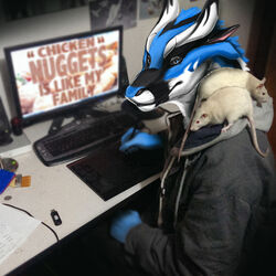 1:1 2014 anthro azur_(biological) biological black_body black_skin blue_body blue_eyes blue_skin clothing computer dragon drawing drawing_tablet electronics fur furred_dragon furred_scalie hoodie keyboard looking_at_viewer male mammal meme mouse murid murine mythological_creature mythological_scalie mythology photo_manipulation photomorph rodent scalie shaded solo tablet tablet_pen third-party_edit topwear white_body white_skin