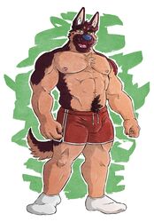 abs anthro athletic athletic_wear biceps big_muscles blue_nose body_hair bottomwear canid canine canis chest_tuft clothed clothing coach domestic_dog eyebrows footwear fur german_shepherd green_eyes gym_bottomwear gym_shorts happy_trail herding_dog kumu_(omfgitsmiller) legwear male mammal muscular muscular_anthro muscular_male nipples omfgitsmiller pastoral_dog pecs pubes shorts socks solo topless tuft