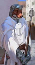  2020 adobe_photoshop_(artwork) anthro armor belt blush chainmail chunie city closed_eyes clothed clothing detailed_background digital_media_(artwork) digital_painting_(artwork) fur furgonomics headgear helmet hi_res holding_object holding_staff male mammal mustelid musteline outside public robe smile solo staff standing true_musteline weasel 