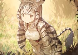  animal_ears animal_print black_hair breast_pocket chapman&#039;s_zebra_(kemono_friends) collared_shirt commentary cowboy_shot extra_ears female foliage grass hands_on_own_knees harness jacket kemono_friends koruse long_hair long_sleeves looking_at_viewer multicolored_hair pocket print_shirt print_shorts safari_jacket shirt shorts sidelocks sleeves_rolled_up solo striped_hair very_long_hair white_hair zebra_ears zebra_print zebra_tail 