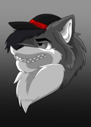  absurd_res anthro canid canine canis clothing coyote hat headgear headwear hi_res lovely male mammal reiyoyote solo youtuber 