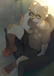  2022 4_toes anthro barefoot bottomwear brown_body brown_fur canid canine canis chair claws clothed clothing digital_media_(artwork) domestic_dog eyewear feet floppy_ears fur furniture glasses green_eyes hair hi_res high-angle_view hoodie kemono leg_markings looking_at_viewer male male_anthro mammal markings pawpads paws round_glasses shorts sitting smile smiling_at_viewer socks_(marking) soles solo tail tan_body tan_fur tan_hair toe_claws toeless_(marking) toeless_socks_(marking) toes topwear toye2004 wearing_glasses white_body white_fur white_hair 