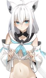  ahoge animal_ears blue_eyes blush breasts closed_mouth clothes_lift commentary_request detached_sleeves female fox_ears fox_girl groin hair_between_eyes highres hololive lifting_own_clothes long_hair making-of_available medium_breasts navel out-of-frame_censoring shirakami_fubuki shirakami_fubuki_(1st_costume) shirt shirt_lift simple_background solo stomach thomas_8000 virtual_youtuber white_background white_hair white_shirt white_sleeves 