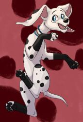  101_dalmatian_street 101_dalmatians black_spots blue_eyes canid canine canis dalmatian disney dolly_(101_dalmatians) domestic_dog female feral freckled_face freckles fur leg_markings long_ears mammal markings pink_inner_ear socks_(marking) solo spots spotted_body spotted_fur themiles toony unavailable_at_source white_body white_fur 
