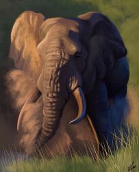  2023 african_elephant agustindiazart ambiguous_gender elephant elephantid feral grass grey_body grey_skin hi_res mammal plant proboscidean proboscis_(anatomy) quadruped savanna solo trunk_(anatomy) tusks wrinkles 
