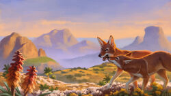  16:9 2026 alexpahomov ambiguous_gender black_nose canid canine canis detailed_background digital_media_(artwork) digital_painting_(artwork) duo ethiopian_wolf feral flower fur grass highlands mammal mountain multicolored_body multicolored_fur nature outside painting_(artwork) plant quadruped shrub side_by_side tan_body tan_fur two_tone_body two_tone_fur white_body white_fur widescreen 