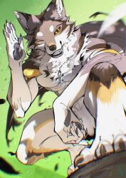  2026 5_fingers amber_eyes ankh ankh_(minelodywolf) ankh_necklace anthro biped black_claws black_pawpads brown_body brown_fur canid canine canis chiayeeee chromatic_aberration claws countershade_arms countershade_face countershade_legs countershade_neck countershade_tail countershade_torso countershading digital_drawing_(artwork) digital_media_(artwork) finger_claws fingerpads fingers foreshortening front_view full-length_portrait fur gesture green_background greeting_viewer grey_body grey_fur hi_res inner_ear_fluff jewelry looking_at_viewer low-angle_view male mammal multicolored_body multicolored_fur neck_tuft necklace northwestern_wolf nude nude_anthro nude_male one_eye_closed pawpads portrait pose pupils salute simple_background smile smiling_at_viewer smirk snout solo tail teeth toe_claws tuft white_body white_claws white_countershading white_fur white_inner_ear_fluff wink winking_at_viewer wolf yellow_body yellow_fur 
