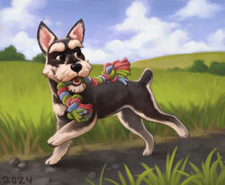  2024 alexpahomov ambiguous_gender black_body black_fur black_nose blue_sky brown_eyes canid canine canis cloud digital_media_(artwork) digital_painting_(artwork) domestic_dog feral field fur grass hi_res mammal multicolored_body multicolored_fur nature outside painting_(artwork) pebble plant quadruped rope_toy running schnauzer sky solo stone_path tree two_tone_body two_tone_fur white_body white_fur 