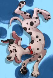  101_dalmatian_street 101_dalmatians black_nose black_spots brown_eyes canid canine canis collar collar_tag dalmatian disney domestic_dog dylan_(101_dalmatians) feral fur heterochromatic_ears male mammal markings red_collar solo spots spotted_body spotted_fur star_collar_tag themiles tongue tongue_out toony unavailable_at_source white_body white_fur 