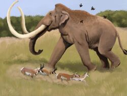  2021 4:3 agustindiazart ambient_bird ambiguous_gender columbian_mammoth feral fur geu_skin grass grass_field group hi_res horn huge_tusks mammal nature outside painting_(artwork) plant prairie proboscis_(anatomy) pronghorn quadruped running size_difference tan_body tan_fur trunk_(anatomy) white_body white_fur 