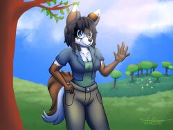  4:3 anthro blue_clothing blue_eyes blue_jacket blue_topwear brown_body brown_fur canid canine canis clothing cmaster1987 female field fur green_clothing green_shirt green_topwear hi_res jacket mammal sara_(cmaster1987) shirt solo spanish_description sunny topwear white_body white_fur wolf 
