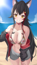  absurdres animal_ear_fluff animal_ears beach bikini black_hair black_jacket blue_sky blush breasts cleavage cloud collarbone commentary_request cowboy_shot day female grey_shorts grin hair_ornament highres hololive jacket jacket_partially_removed large_breasts leaf_print long_hair long_sleeves looking_at_viewer maple_leaf_print multicolored_bikini multicolored_hair navel ocean ookami_mio ookami_mio_(hololive_summer_2019) open_clothes outdoors print_bikini ramkilog red_streaks short_shorts shorts sky smile solo streaked_hair swimsuit tail virtual_youtuber wolf_ears wolf_girl yellow_eyes 
