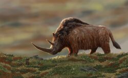  2023 absurd_res ambiguous_gender brown_body brown_fur detailed digital_media_(artwork) digital_painting_(artwork) feral fur grass ground_squirrel group hi_res mammal marmot nature outside painting_(artwork) paleopete plant prehistoric_species quadruped rhinoceros rock rodent sciurid semi-realistic steppe trio wool_(fur) woolly_rhinoceros 