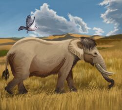  2024 agustindiazart ambiguous_gender avian bird black_eyes black_hair blue_sky cloud columbid duo elephantid feathers feral field fluing grass grassland grey_body grey_feathers grey_skin hair hi_res hill mammal palaeoloxodon pigeon plant prehistoric_species proboscidean proboscis_(anatomy) quadruped sky trunk_(anatomy) tusks walking white_body white_feathers 