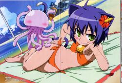  bikini crease koga_makoto kyouran_kazoku_nikki midarezaki_gekka midarezaki_kyouka mizugi nekomimi tail 