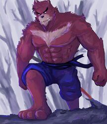  2015 anthro bear bottomwear clothing hi_res humanoid_hands kumatetsu luluangel male mammal pecs shorts solo studio_chizu the_boy_and_the_beast 