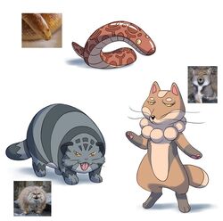  2022 ambiguous_gender anthro arabian_sand_boa blep boa_(snake) brown_body brown_fur canid canine digital_media_(artwork) fakemon felid feline feral fox fur grey_body grey_fur group mammal nibhaaz nude pallas&#039;s_cat red_body red_scales reference_image reptile sand_boa scales scalie simple_background snake standing tibetan_sand_fox tongue tongue_out trio true_fox whiskers white_background 