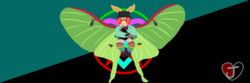  2022 3:1 3_fingers adrian_corenthal anarchism antennae_(anatomy) anthro arthropod atomic_cat clothed clothing dovahkaaz egoism eyewear female fingerless_gloves fingers flying fully_clothed glasses gloves green_wings handwear insect_wings insects jacket legwear lepidopteran lepidopteran_wings moth opaque_glasses pattern_clothing pattern_legwear pattern_thigh_highs rainbow_stripes red_eyewear red_glasses signature smile solo spread_wings striped_clothing striped_legwear striped_thigh_highs stripes thigh_highs topwear trans_(lore) trans_woman_(lore) white_body wings 