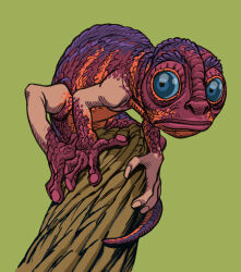  alternate_version_at_source ambiguous_gender blue_eyes branch chameleon claws feet feral frederik_peeters frown growth hi_res human lizard mammal mid_transformation multicolored_body multicolored_scales nude on_branch prehensile_feet prehensile_tail reptile scale_growth scales scalie shrinking simple_background size_transformation solo tail the_animal_kingdom_(film) toes transformation 