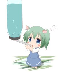  animal_ears blue_eyes blush_stickers bottle chibi commentary_request daiyousei drinking edamame_(barium) female flying_sweatdrops green_hair hamster_ears hamster_girl mini_person minigirl no_wings short_hair side_ponytail skirt solo tongue tongue_out touhou vest water_bottle 