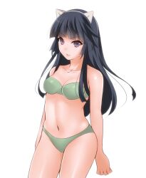  animal_ears bikini black_eyes black_hair cat_ears commentary_request female guilty_crown hevn long_hair photoshop_(medium) solo swimsuit tsugumi_(guilty_crown) tsurime 