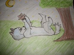  4:3 ambiguous_gender anthro canid canine canis crayon_(artwork) field mammal moon night outside plushie quadruped sky solo star starry_sky tail teddy_bear traditional_media_(artwork) unknown_artist wolf young young_anthro 