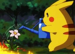  animated animated animation fire flower lowres nintendo outdoors pikachu pokemon water watering_can 