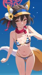  absurdres animal_ear_fluff animal_ears bikini blue_archive blue_background blue_sky breasts brown_hair closed_mouth commentary_request female flower fox_ears fox_girl fox_tail gradient_background hair_flower hair_ornament halo highres huet-pc izuna_(blue_archive) izuna_(swimsuit)_(blue_archive) looking_at_viewer navel official_alternate_costume pink_halo red_halo red_scarf scarf short_hair sky small_breasts smile solo standing stomach striped_bikini striped_clothes sunflower sunflower_hair_ornament sweat swimsuit tail thighs visor_cap yellow_eyes 