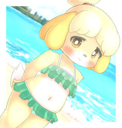  animal_crossing anthro beach bikini blush border bunnag canid canine canis clothed clothing day digital_media_(artwork) domestic_dog female fur hands_behind_back hi_res isabelle_(animal_crossing) looking_at_viewer mammal navel nintendo outside sea seaside shaded shih_tzu slightly_chubby smile solo standing swimwear toy_dog water white_border yellow_body yellow_fur 