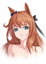  animal_ears black_bow blue_bow bow bowlp brown_hair commentary_request female green_eyes hairbow highres horse_ears horse_girl long_hair looking_at_viewer maruzensky_(umamusume) nude simple_background smile solo umamusume upper_body white_background 