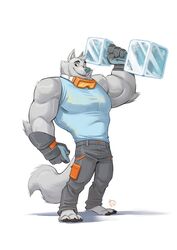  2019 anthro avoid_posting biceps bottomwear breeze_in_the_clouds canid canine canis clothed clothing digital_media_(artwork) exercise frost_(breeze_in_the_clouds) fur furrybob hi_res male mammal muscular muscular_anthro muscular_male pants shirt simple_background solo topwear wolf workout 