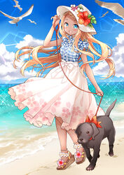  :d bare_arms beach bird black_dog blonde_hair blue_eyes blue_shirt blue_sky blush canine cherry_blossom_print cloud collared_shirt commentary_request day female floral_print flower footwear_flower full_body hand_up hat hat_flower hibiscus highres kawanobe labrador_retriever leash long_hair ocean open_mouth original outdoors plaid plaid_shirt plumeria sandals seagull shirt skirt sky smile standing sun_hat tan very_long_hair walking white_hat white_skirt wing_collar 