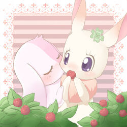  1:1 anthro berry blush chest_tuft closed_eyes clover_(happy_happy_clover) daww digital_drawing_(artwork) digital_media_(artwork) domestic_rabbit duo eyelashes female female/female food fruit fur happy_happy_clover japanese kajiura kissing lagomorph leporid long_ears lop_rabbit low_res mallow_(happy_happy_clover) mammal oryctolagus plant purple_eyes rabbit romantic romantic_ambiance sayuri_tatsuyama tuft 