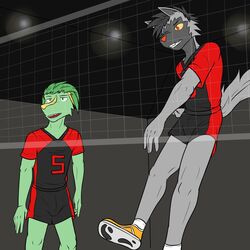  1:1 anthro anthrofied bottomwear clothed clothing duo electrike fuze generation_3_pokemon hi_res jolt_(fuze) male nintendo pawl_(fuze) pokemon pokemon_(species) pokemorph poochyena shorts sport sportswear volleyball 