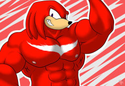  abs anthro big_muscles bobthetanuki digital_drawing_(artwork) digital_media_(artwork) echidna flexing grin huge_muscles knuckles_the_echidna looking_at_viewer male mammal monotreme muscular muscular_male nipples outline pecs sega simple_background smile solo sonic_the_hedgehog_(series) white_outline 