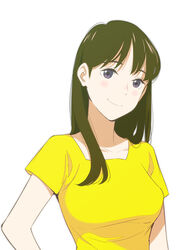  black_eyes blush breasts brown_hair commentary_request female long_hair looking_at_viewer medium_breasts onee-san_(penguin_highway) penguin_highway pre3445 shirt simple_background smile solo upper_body white_background yellow_shirt 