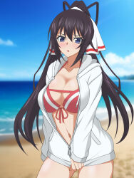  beach bikini black_hair blue_eyes blue_sky breasts cleavage cloud cowboy_shot day female hair_ribbon hata_(pixiv10403940) highres hood hooded_jacket horizon infinite_stratos jacket large_breasts long_hair looking_at_viewer ocean outdoors ponytail red_bikini ribbon shinonono_houki sky solo split_ponytail swimsuit white_jacket white_ribbon 