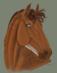  2020 ambiguous_gender blue_eyes brown_body brown_hair brown_mane bust_portrait digital_media_(artwork) dolero english_text equid equine feral hair hi_res horse looking_at_viewer mammal mane portrait simple_background solo text voronasasha 