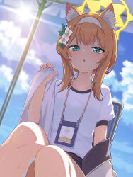  animal_ear_fluff animal_ears black_jacket blue_archive blue_eyes blush cat_ears cat_girl commentary female flower hair_flower hair_ornament hairband halo highres id_card jacket looking_at_viewer low_ponytail mari_(blue_archive) mari_(track)_(blue_archive) official_alternate_costume official_alternate_hairstyle open_clothes open_jacket ponytail shinori_(efvbji6264) shirt short_sleeves sidelocks solo t-shirt white_flower white_hairband white_shirt yellow_halo 