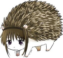  akemi_homura all_fours alternate_species blush brown_hair embarrassed eulipotyphlan feral furrification hair hedgehog mahou_shoujo_madoka_magica mammal puella_magi purple_eyes shaking solo standing unknown_artist 
