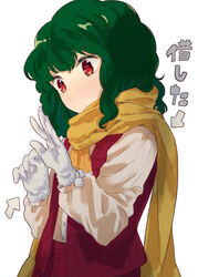  arrow_(symbol) ascot clenched_hand closed_mouth commentary_request dress_shirt enpera expressionless female from_side fur-trimmed_gloves fur_trim gloves green_hair hands_up kazami_yuuka kinosaki long_sleeves looking_at_hand looking_at_hands looking_away looking_down medium_hair no_pupils open_clothes open_hand open_vest plaid plaid_skirt plaid_vest pom_pom_(clothes) puffy_long_sleeves puffy_sleeves red_eyes red_skirt red_vest scarf shirt shirt_tucked_in simple_background skirt skirt_set solo touhou translated upper_body vest wavy_hair white_background white_gloves white_shirt winter_clothes yellow_ascot yellow_scarf 