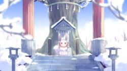  blurry brown_eyes commentary_request day eevee highres looking_at_viewer no_humans outdoors pokemon pokemon_(creature) rope shide shimenawa shrine sitting snow solo stairs suzuiro_(chocolatte) tassel torii tree 