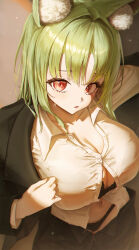  absurdres animal_ear_fluff arm_up black_bra black_panties black_pants blazer blush bra breasts cleavage commentary female from_above green_hair highres jacket large_breasts long_hair looking_at_viewer loose_pants macaroon303 open_clothes original panties pants parted_lips partially_unbuttoned red_eyes shade shirt standing sweatdrop underwear untranslatable_commentary white_shirt 