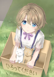  1boy aged_down blue_eyes box brown_hair cardboard_box day feline for_adoption grass highres in_box in_container keith_claes kitten lin_dreamer lolicon looking_at_viewer looking_up male_focus otome_game_no_hametsu_flag_shika_nai_akuyaku_reijou_ni_tensei_shite_shimatta outdoors purple_ribbon ribbon short_hair short_sleeves suspenders 