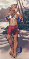  2020 4_toes 5_fingers abs angiewolf anthro athletic athletic_anthro athletic_male beach bottomwear brown_body brown_fur claws clothed clothing day detailed_background dexterlion digital_media_(artwork) eyebrows eyelashes feet felid fingers fur hi_res inner_ear_fluff lion looking_away male mammal mane navel orange_eyes outside pantherine seaside shorts sky solo standing swimming_trunks swimwear toes topless towel tuft 