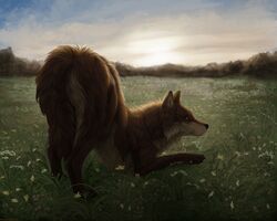  2021 5:4 amazing_background ass ass_up brown_body brown_eyes brown_fur butt_focus canid canine canis clover_(plant) detailed detailed_background digital_media_(artwork) digital_painting_(artwork) female feral foxapm freedom fur landscape looking_at_viewer mammal outside plant quadruped realistic_feral samarah shaded sky solo white_body white_fur wildflowers wolf 