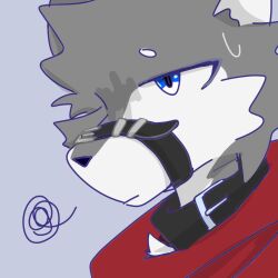  1:1 abstract_background anthro belt_collar black_nose blue_eyes bodily_fluids canid canine canis cel_shading cheek_tuft circle_eyebrows clothing countershade_face countershade_fur countershading digital_drawing_(artwork) digital_media_(artwork) eyebrows facial_tuft falling_wolf_taibai fur grey_background grey_body grey_fur head_tuft headshot_portrait male mammal portrait red_clothing red_shirt red_topwear shaded shirt simple_background snout solo sweat sweatdrop topwear tuft wolf 